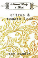 Natural Body & Bath Soy Candle - Citrus & Tomato Leaf
