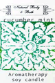 Natural Body & Bath Soy Candle - Cucumber Mint