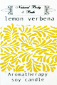 Natural Body & Bath Soy Candle - Lemon Verbena