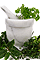 Natural Aphrodisiacs from Spiritual Scents