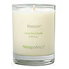 Florapathics Luxury Soy Candle - Blossom™Blossom Vela de Soya de Lujo